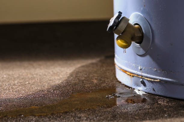 Best Ceiling water damage repair  in Califon, NJ