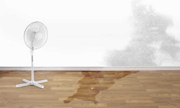 Reliable Califon, NJ Water damage restoration Solutions