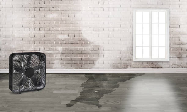 Water damage restoration insurance claims in Califon, NJ