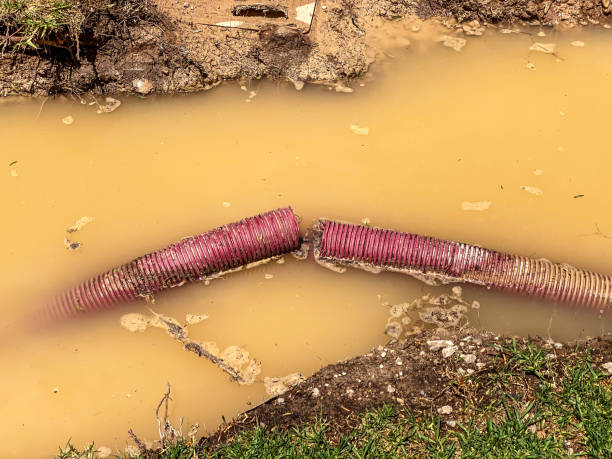 Best Water damage restoration near me  in Califon, NJ