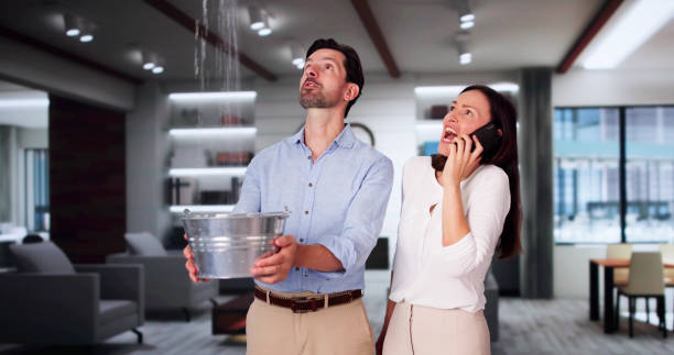 Best Water damage restoration insurance claims  in Califon, NJ