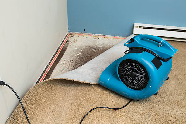Best Flooded house restoration  in Califon, NJ